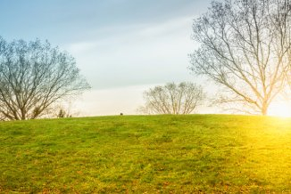grimmobilien: Ihr Immobilienmakler für den Verkauf von Grundstücken